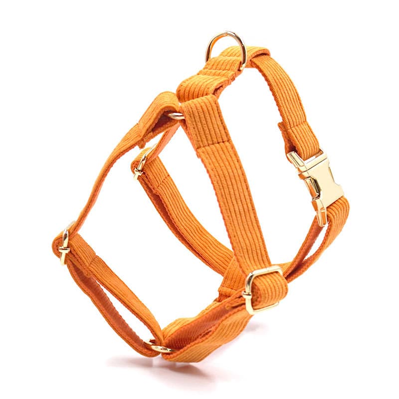 Chaleco pechera para perros con terciopelo grabado