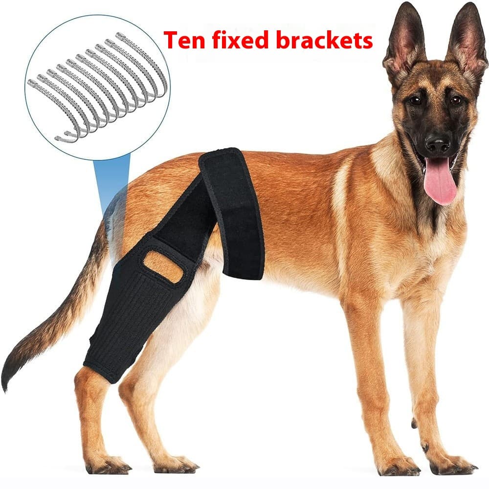 Cinturón de protección de neopreno para entrenamiento