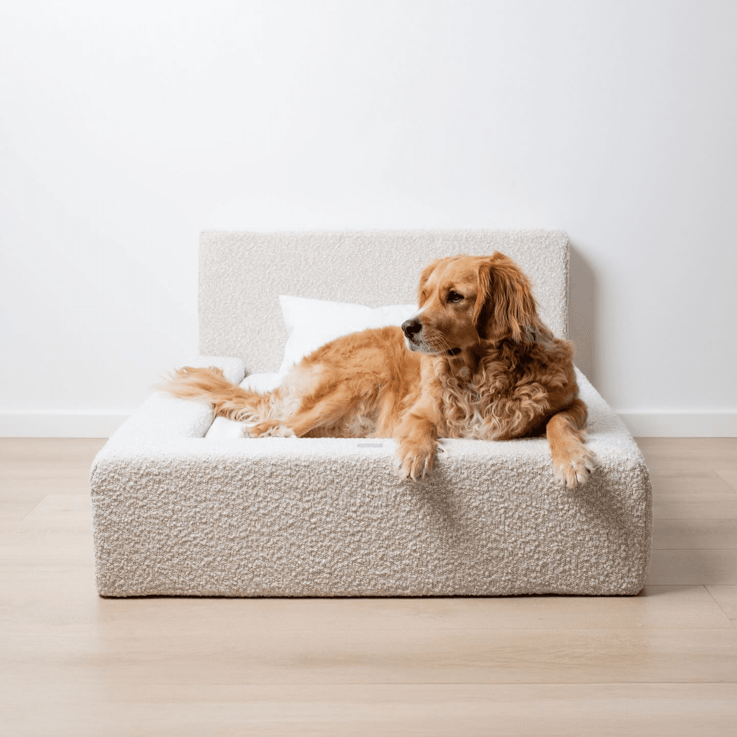 Cama para perros y gatos con respaldo