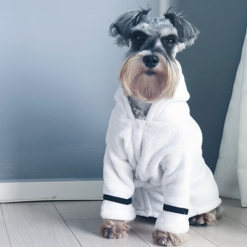 Bata de baño para mascotas