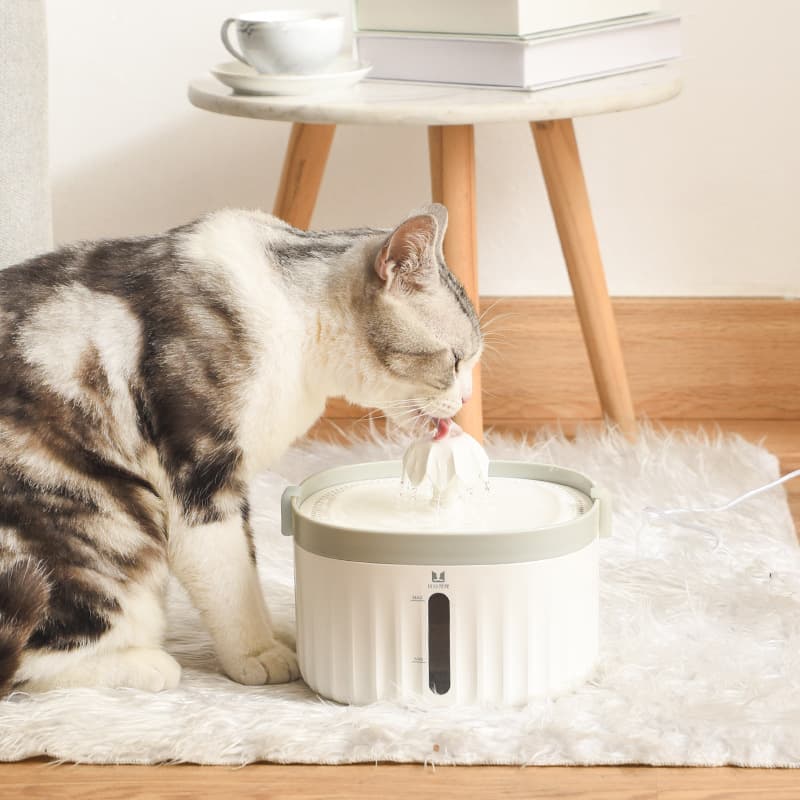 Dispensador de agua automático para mascotas