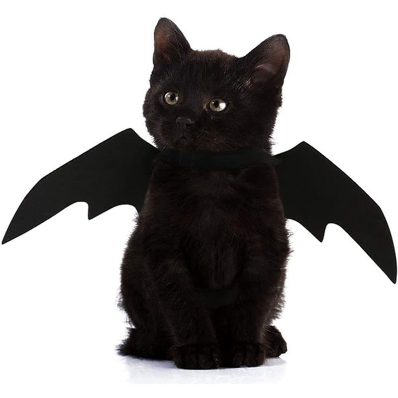 Alas de murciélago para disfraz de mascota Halloween