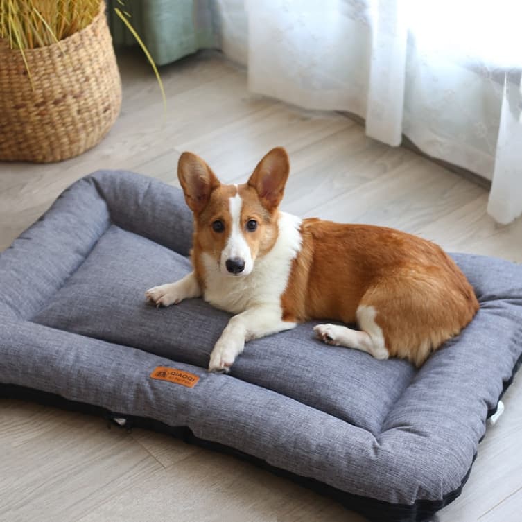 Colchoneta de algodón lavable para dormir de mascota