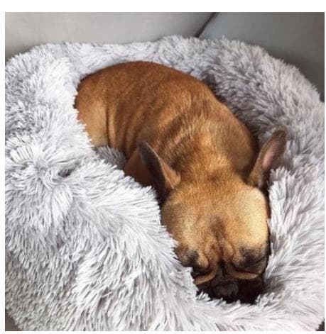 Cama redonda de felpa para perros pequeños y gatos