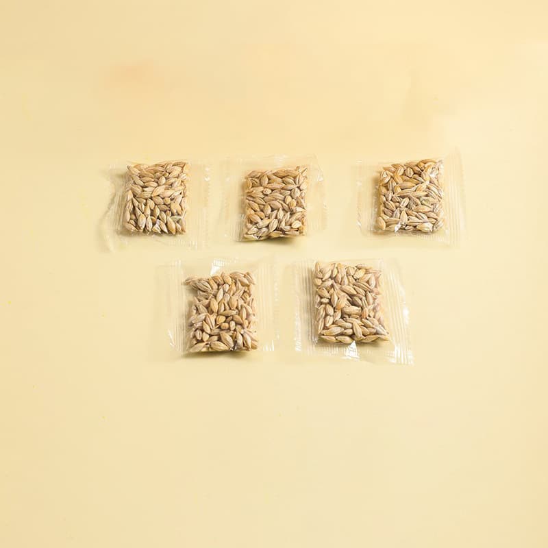 Kit de cultivo hidropónico de pasto para gatos