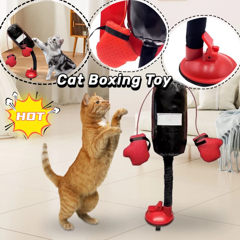 Juguete de bolsa de box interactivo para gatos