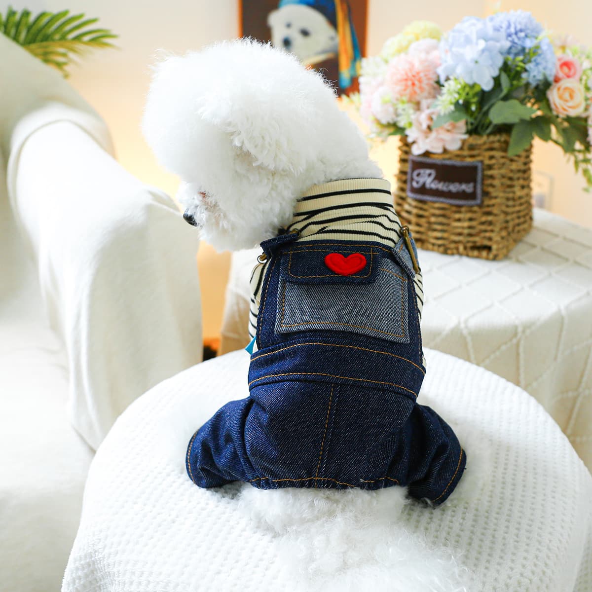 Ropa para perro cuatro patas con diseño vintage corazón