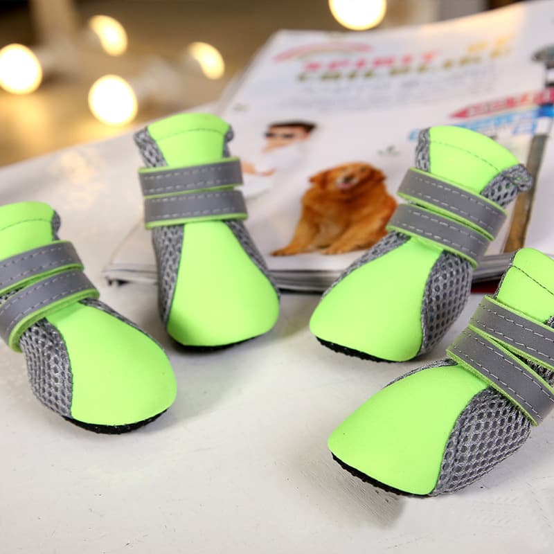 Zapatos impermeables para perro Teddy