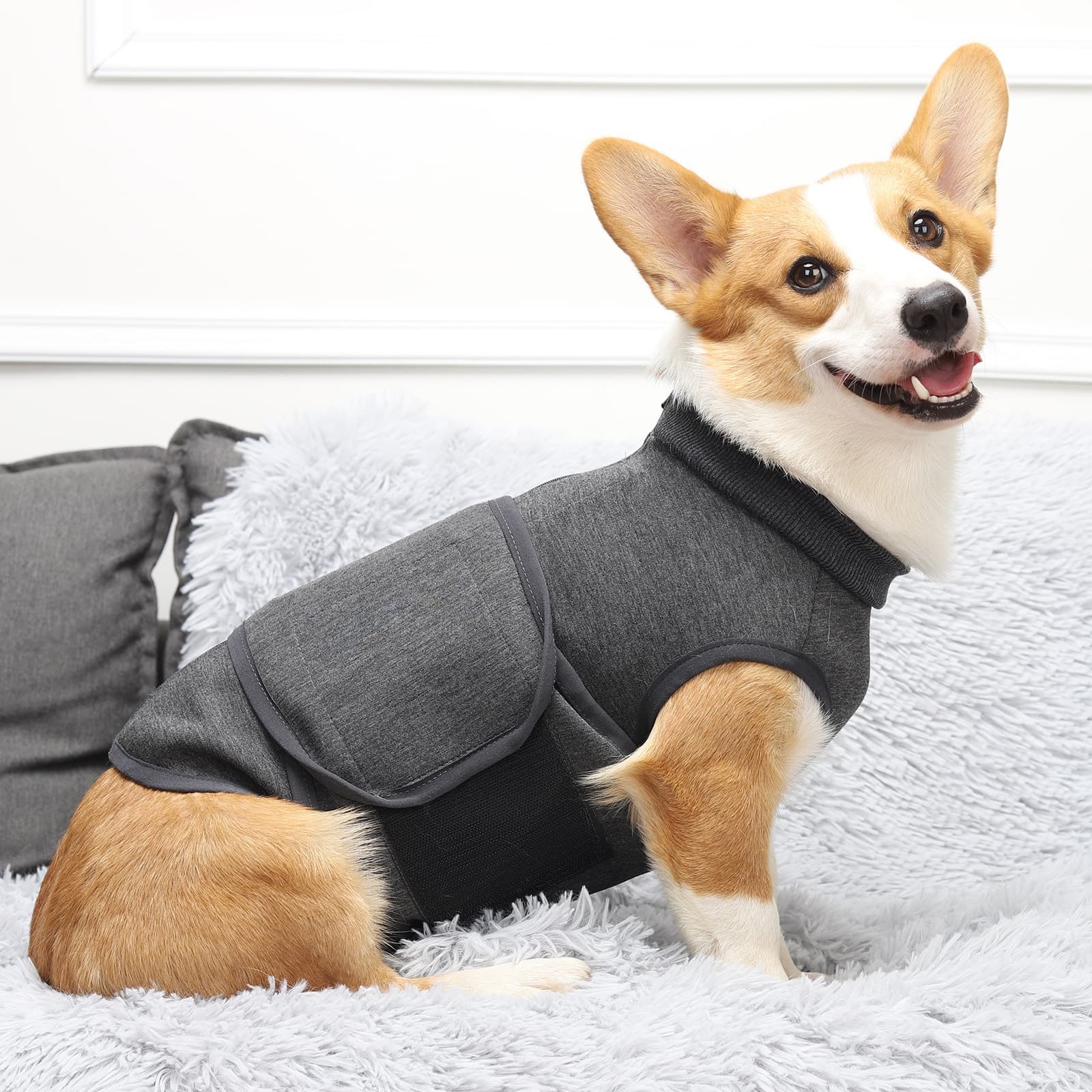 Prenda calmante para mascotas nerviosas o ansiosas