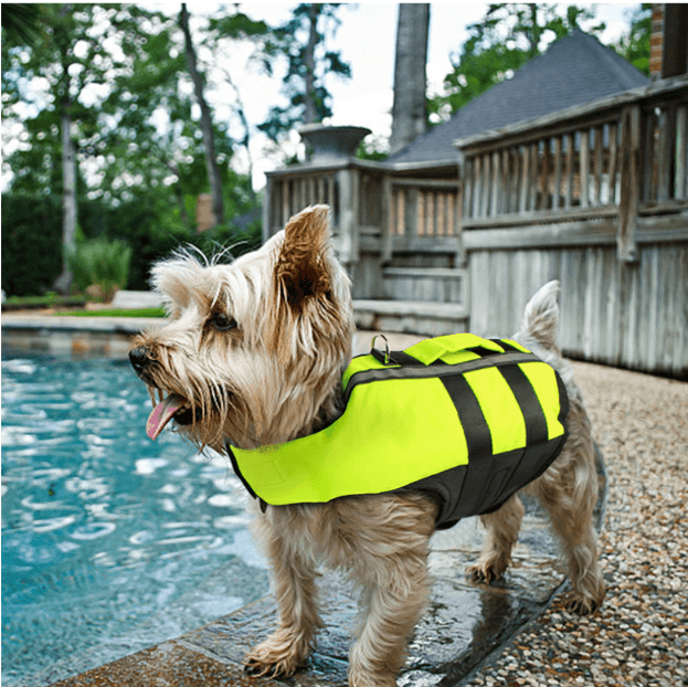 Chaleco salvavidas inflable para perros con protección de natación