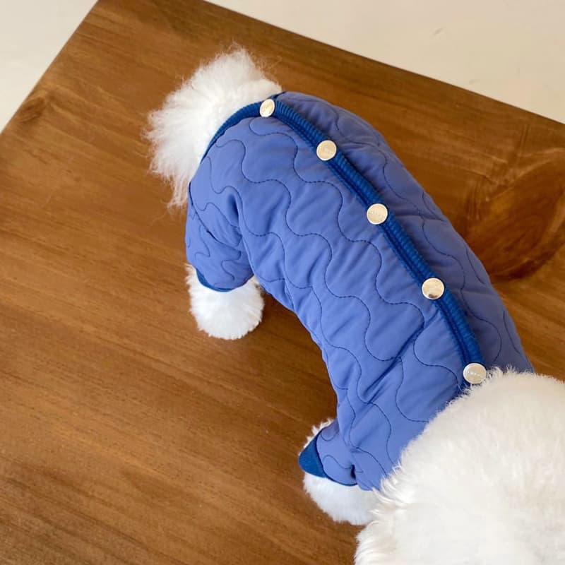 Abrigo acolchado teddy para mascotas pequeñas