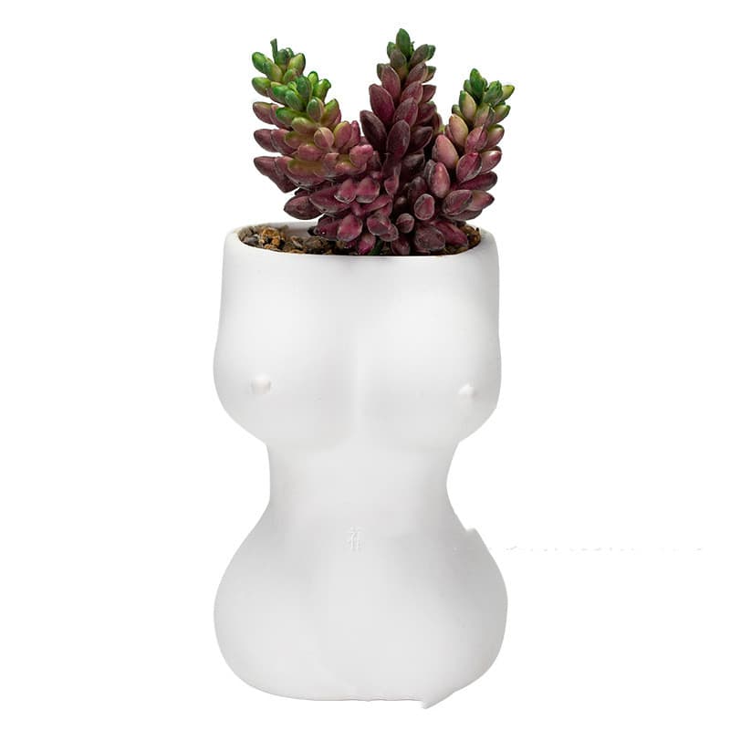 Maceta de cerámica decorativa