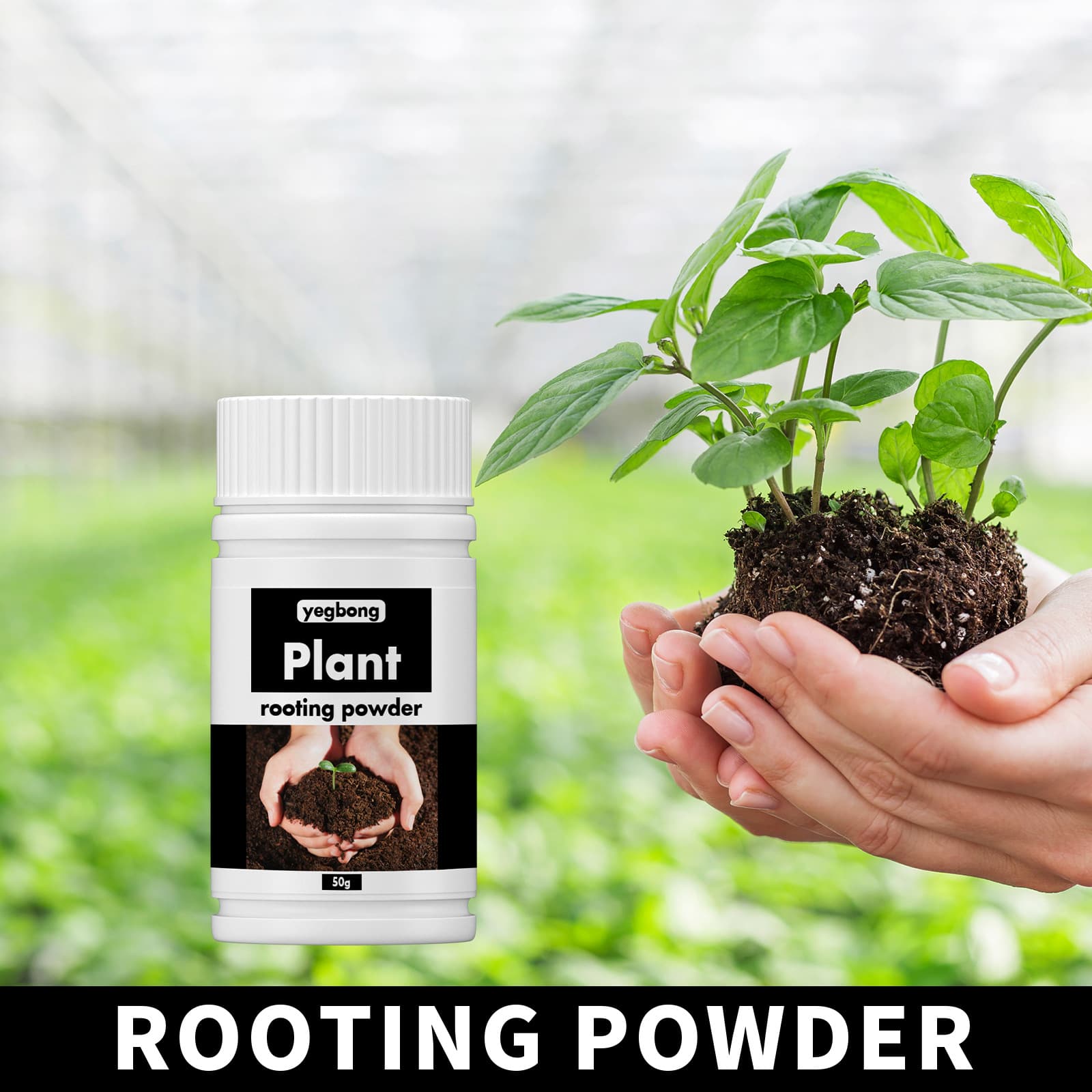 Polvo nutritivo para enraizamiento de árboles y transplantes