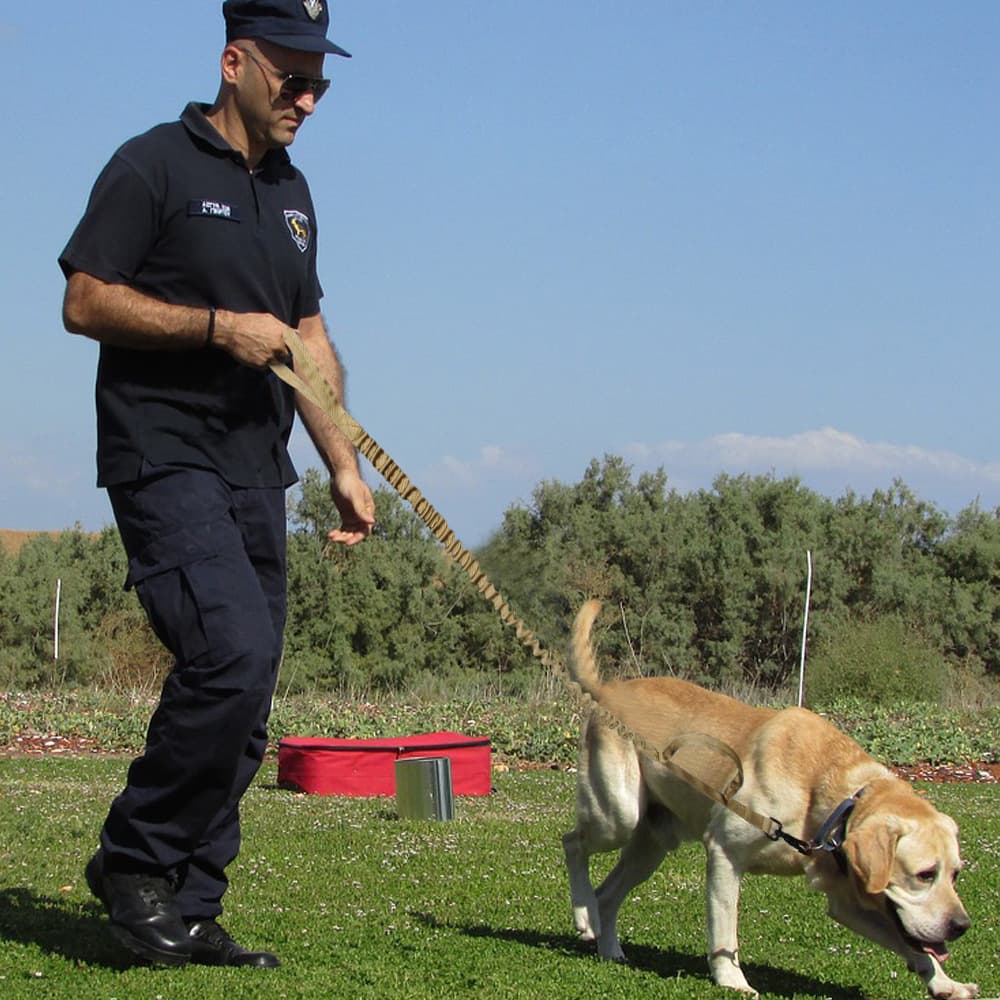 Correa retráctil para perros con reflectivo