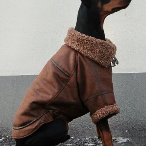 Abrigo de cuero para perros grandes con forro de terciopelo