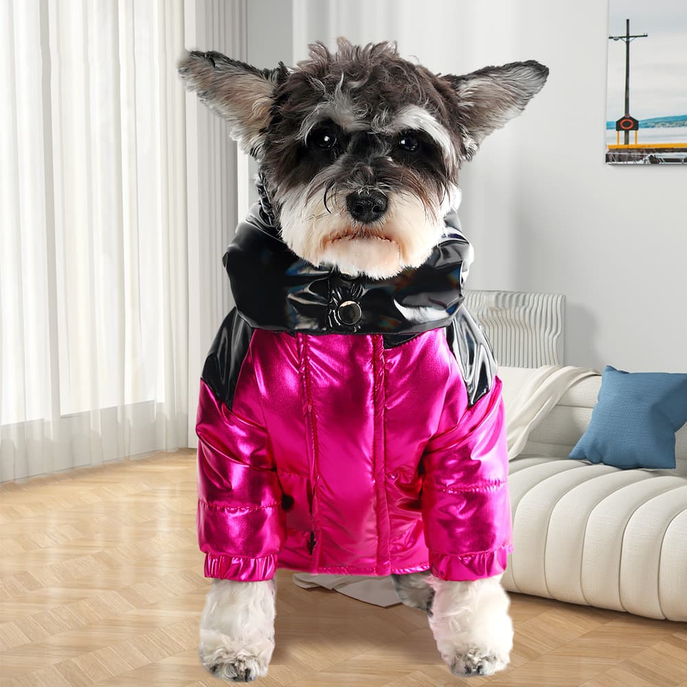 Chaqueta térmica para perro en velludo