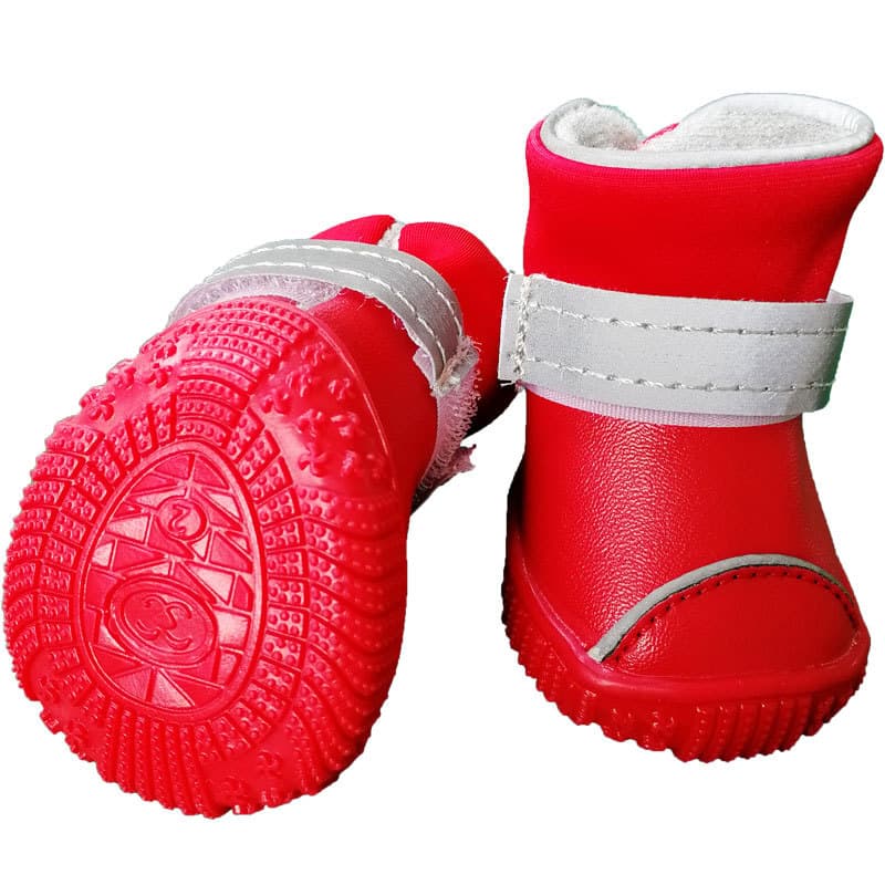Botas impermeables para perros pequeños