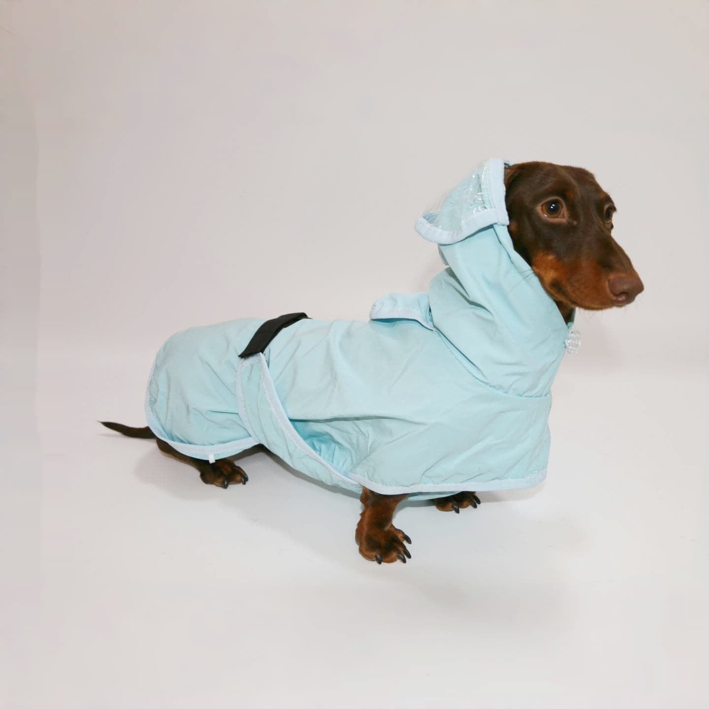 Poncho chubasquero con capucha para perro impermeable