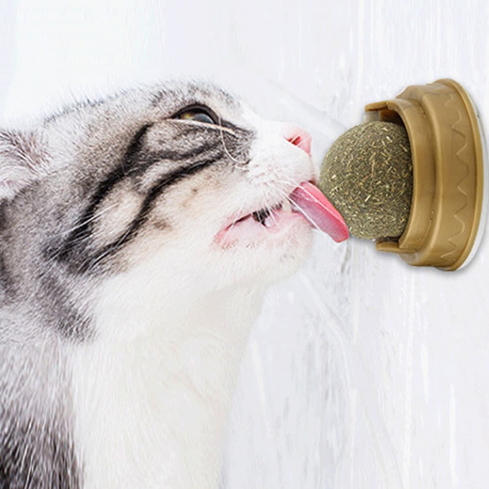 Bolas de hierba gatera para limpiar dientes de gatos