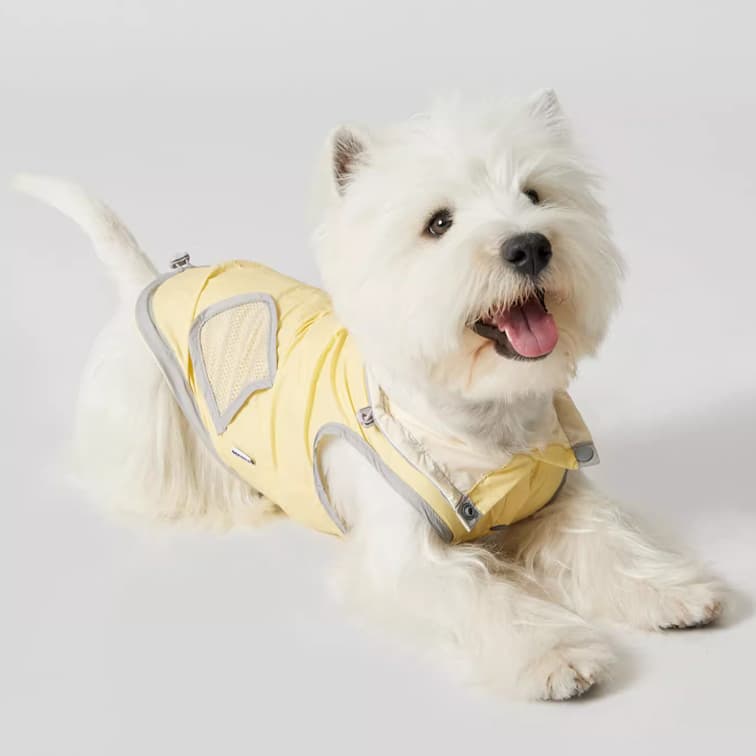 Chaleco impermeable ultra delgado para perro resistente al viento