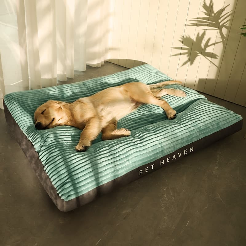 Cama para mascotas desmontable y lavable