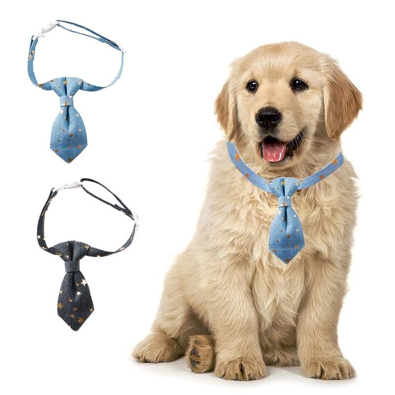 Collar ajustable con corbata para perros pequeños