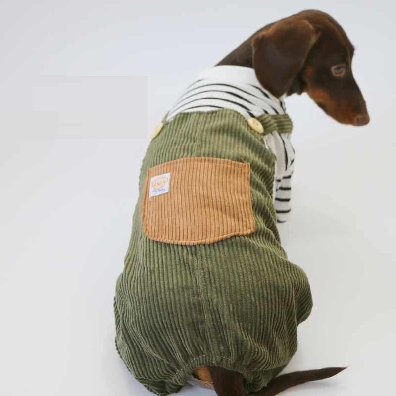 Pantalón de pana de dos piezas para perros pequeños
