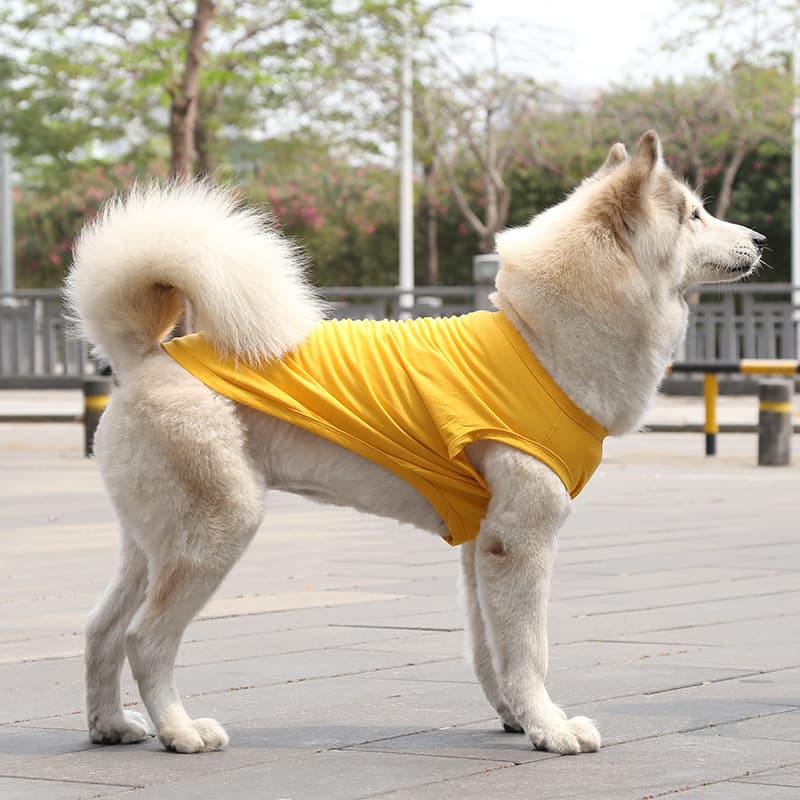 Chaleco de algodón para perro, XS a 5XL