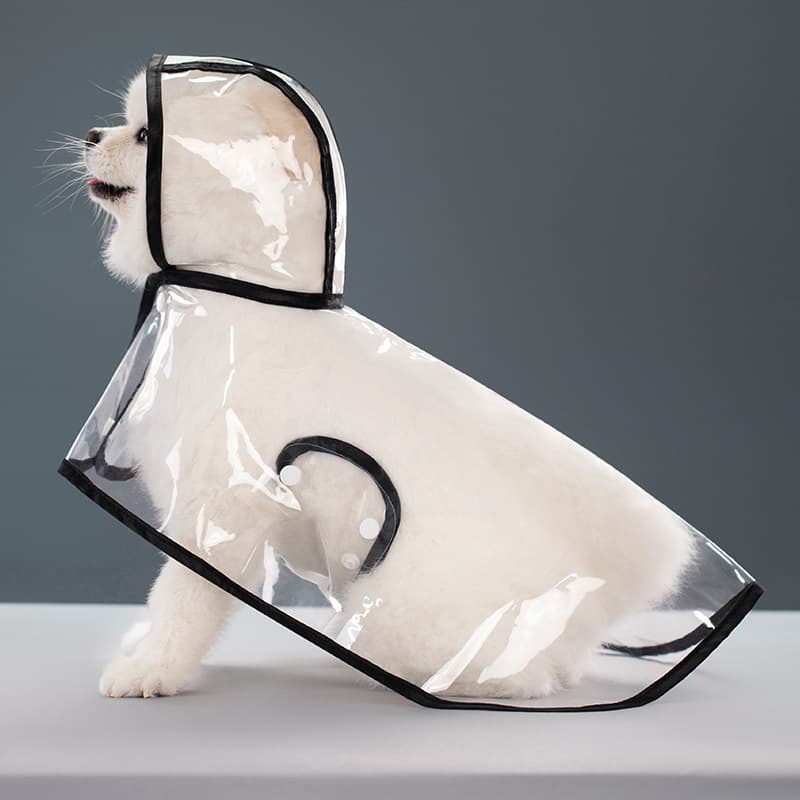 Impermeable transparente para perro