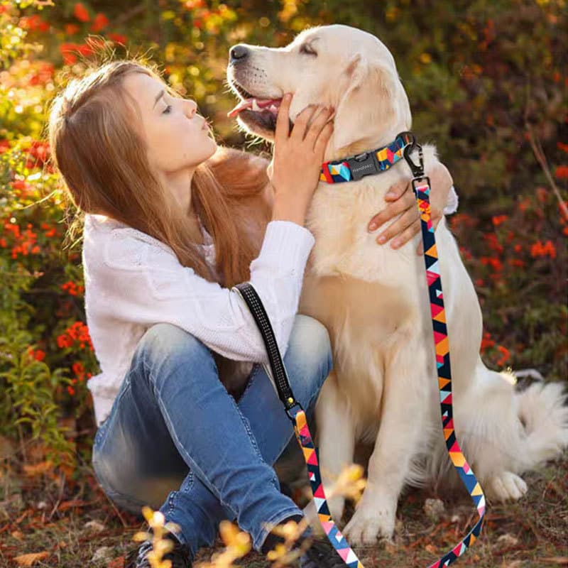 Correa mano anti-pérdida para perro