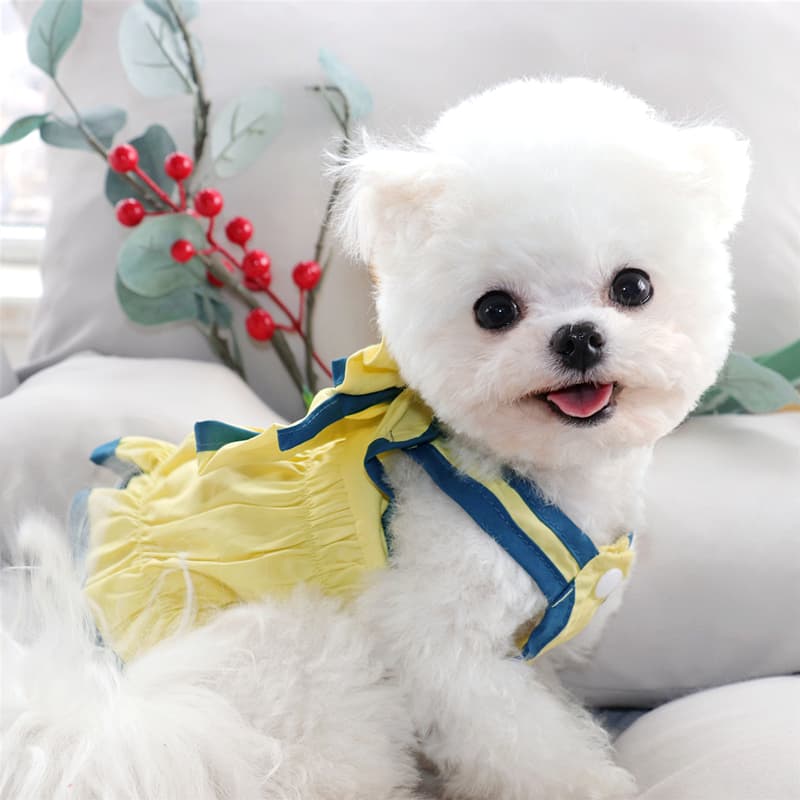 Falda princesa para mascotas ajustable por peso