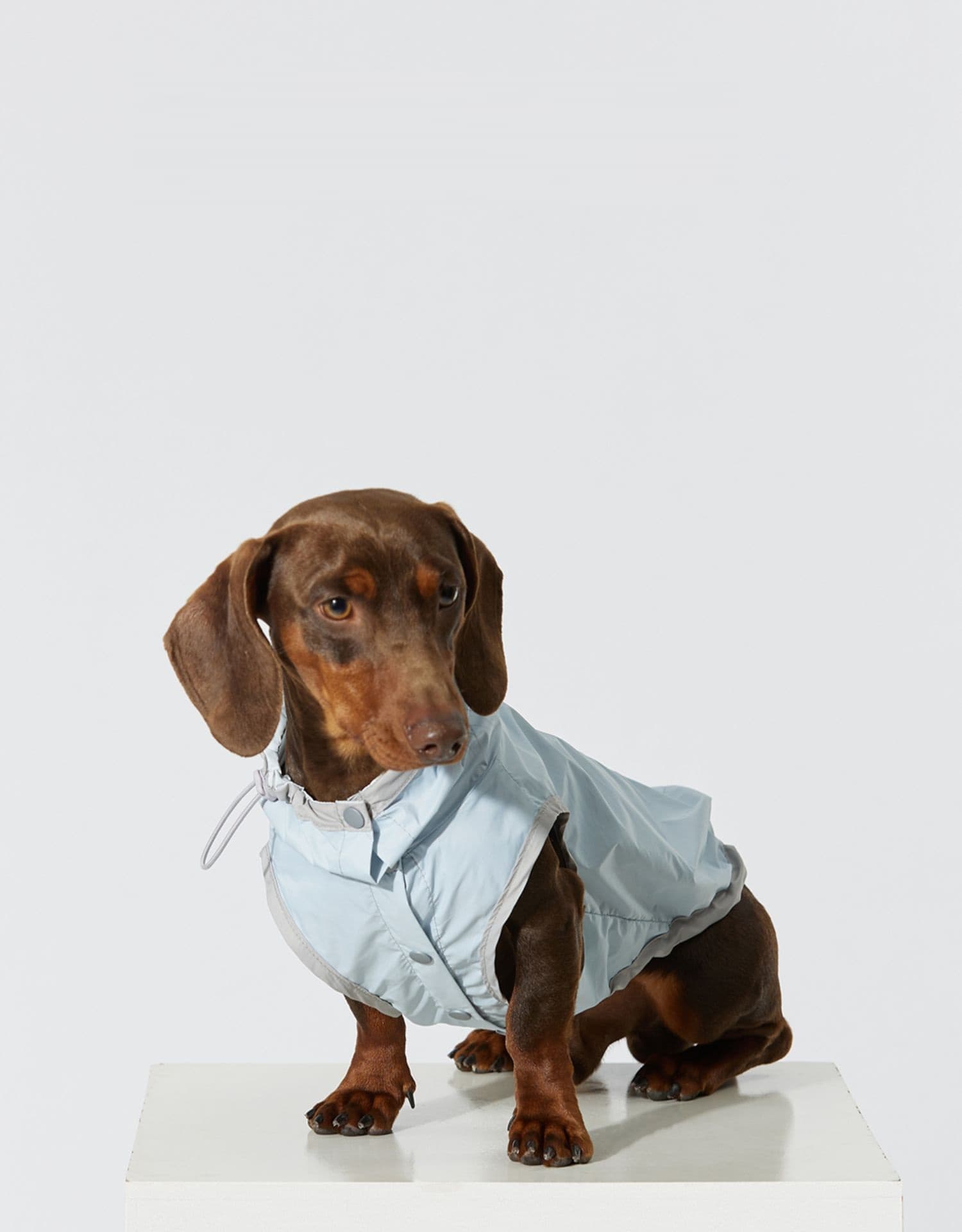Chaleco impermeable ultra delgado para perro resistente al viento