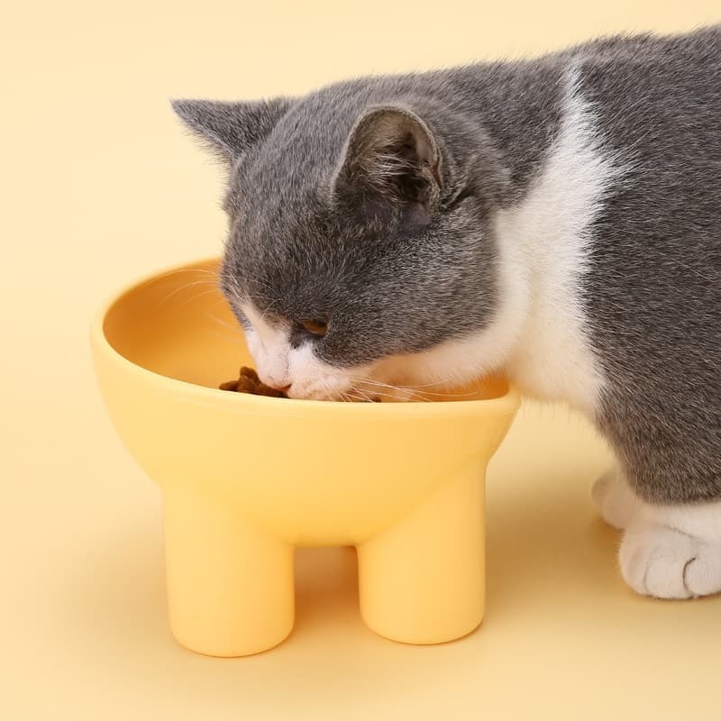 Cuenco para gatos con protección de cuello
