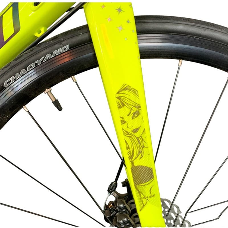 Protector de cuadro para bicicleta de montaña