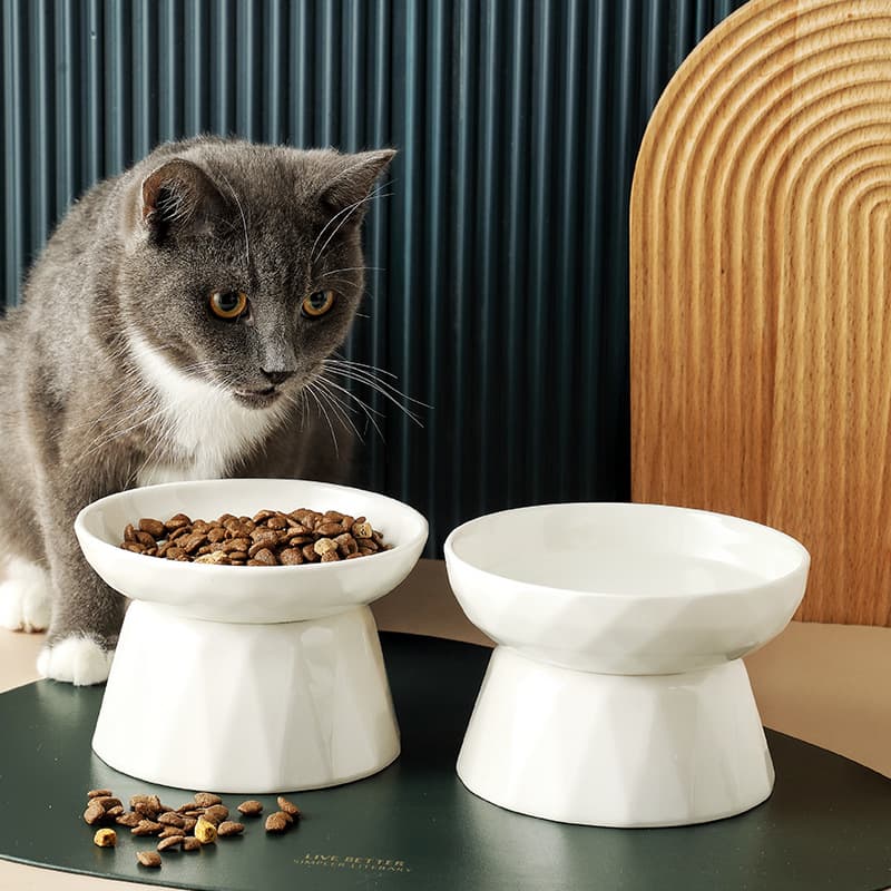 Comedero de cerámica para gatos de altura