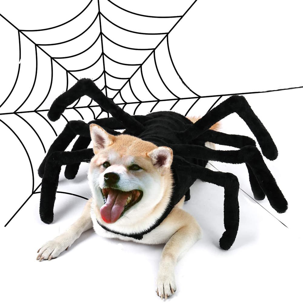 Prenda de araña divertida para mascotas