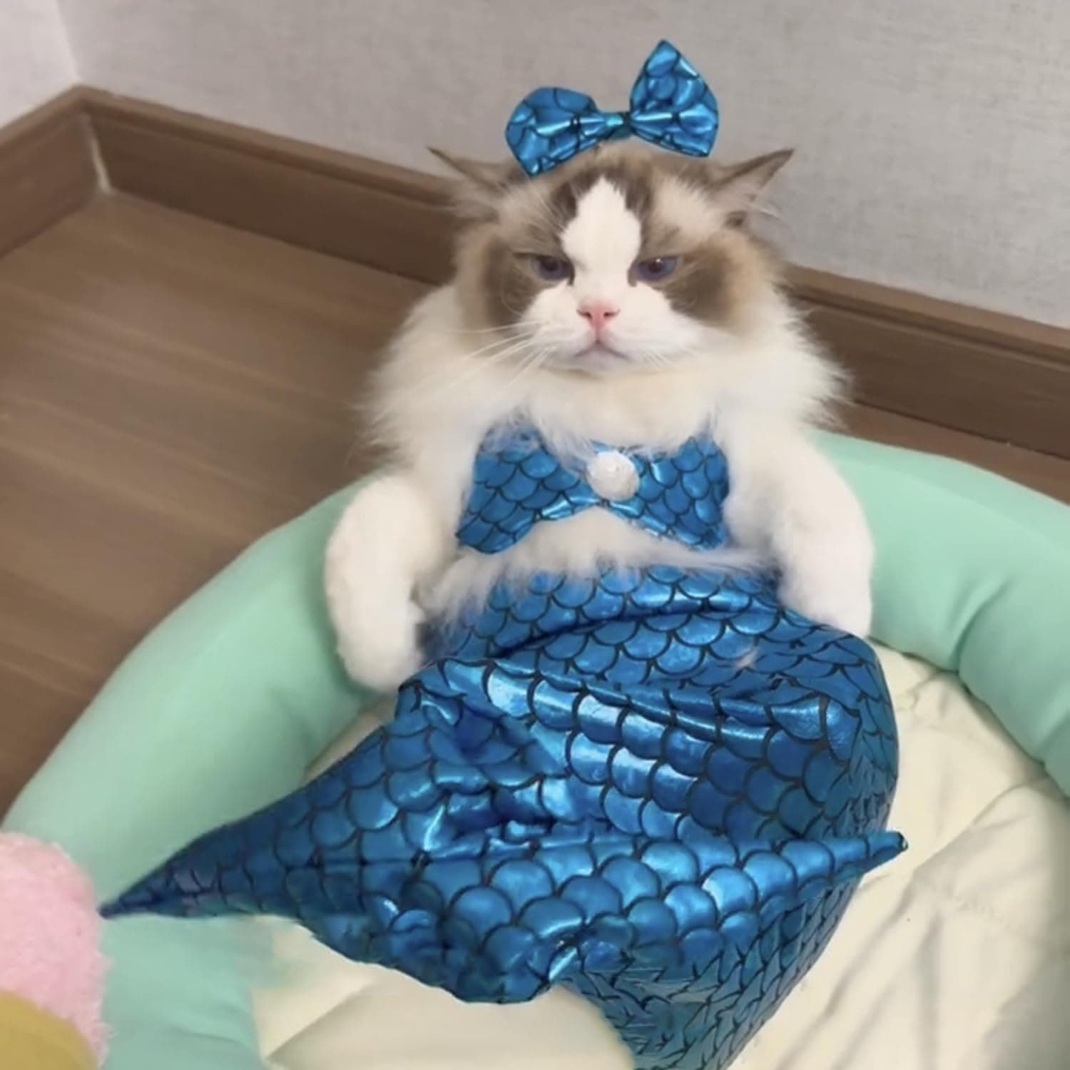 Disfraz de sirena para gatos y perros pequeños