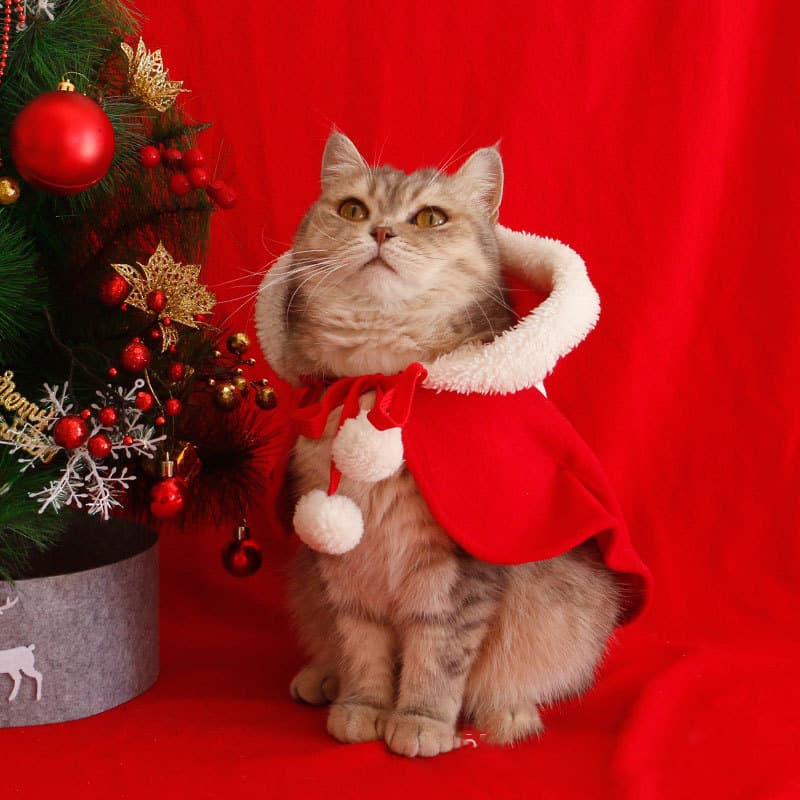 Capa navideña para gatos y perros con capucha