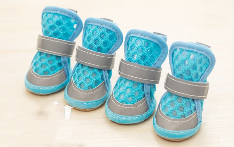 Botas antideslizantes para perros pequeños