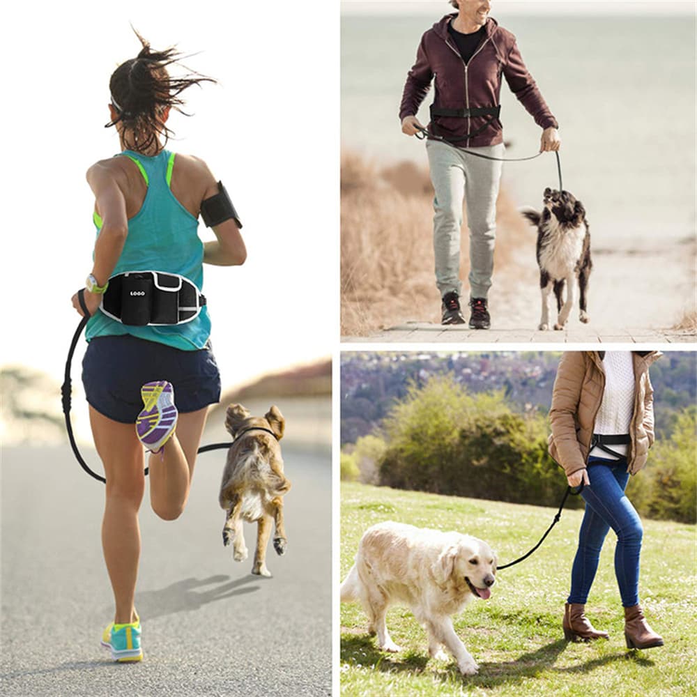 Bolsa de cintura para entrenamiento de perros