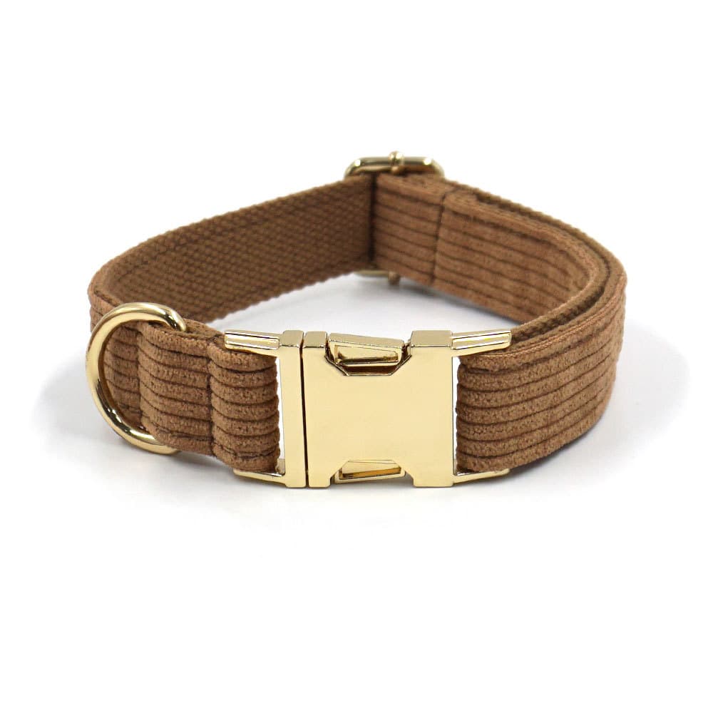Juego de accesorios para perros cinco piezas
