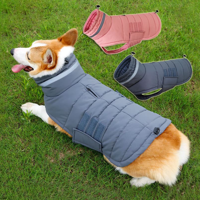 Abrigo de invierno impermeable para perros medianos y grandes