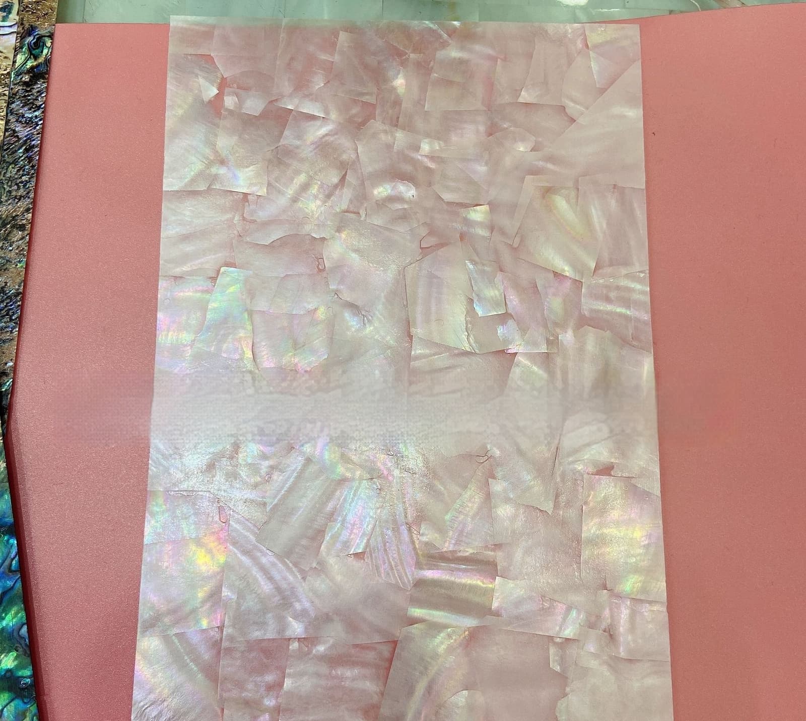 Fragmentos de concha adhesiva para manualidades y decoración