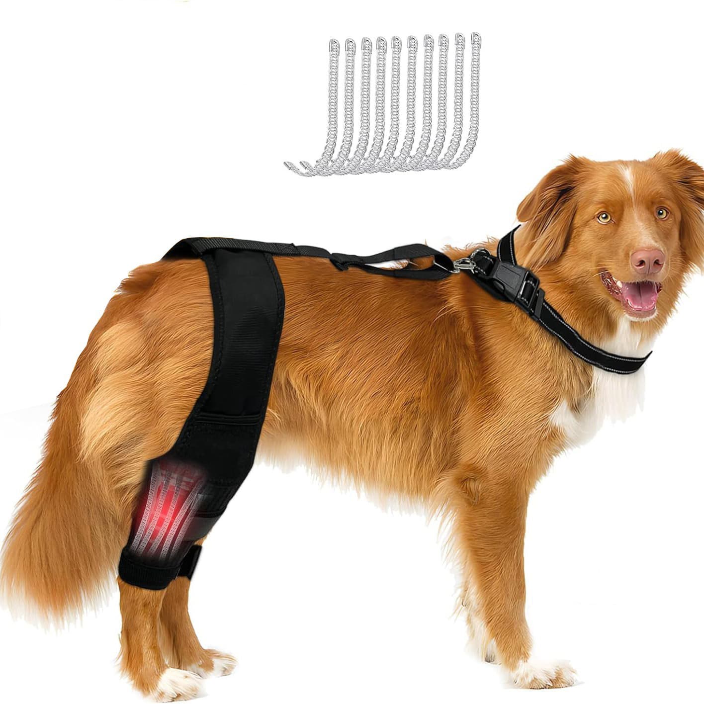 Protector de rodilla para perros con apoyo articular