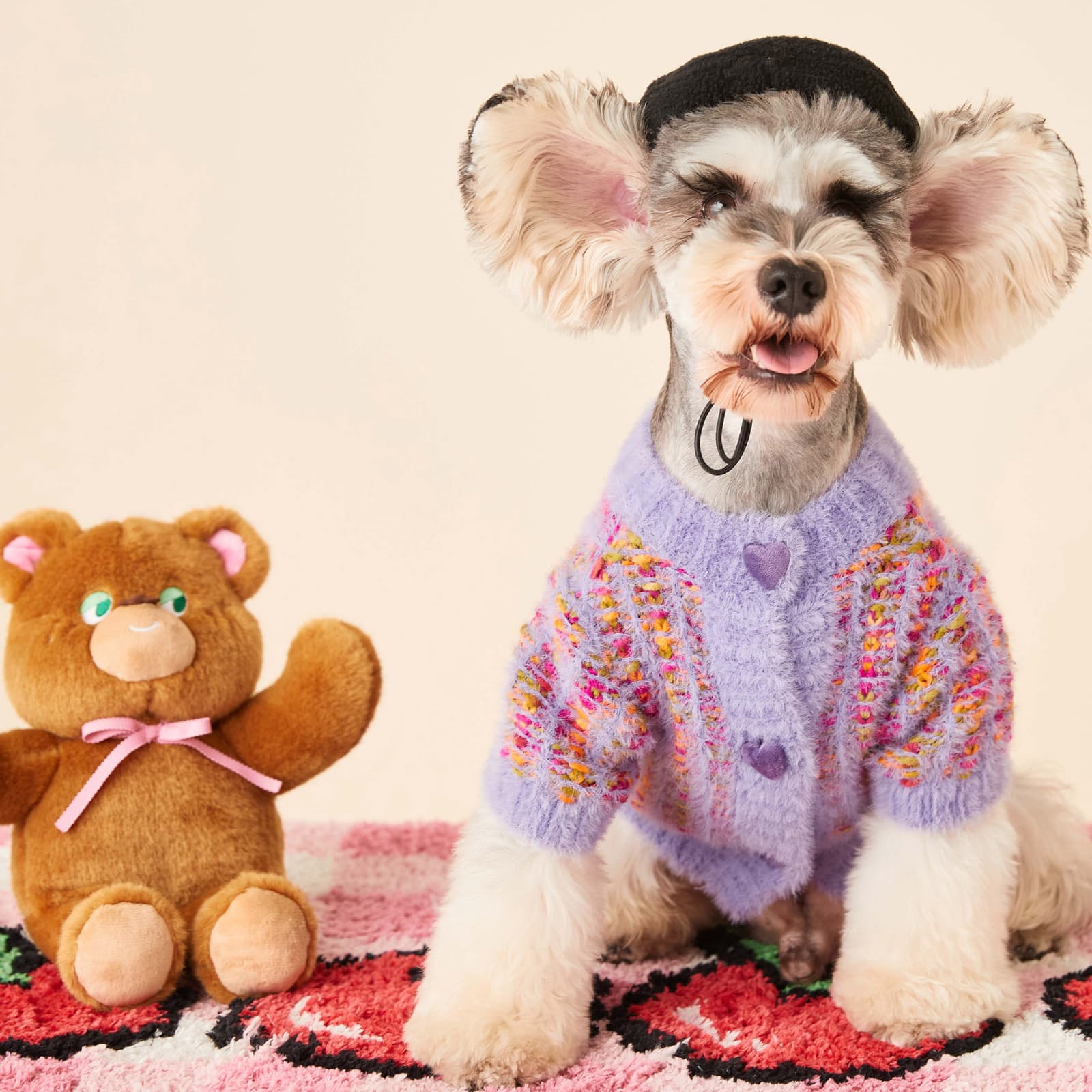 Suéter cardigan lana para perro otoño invierno