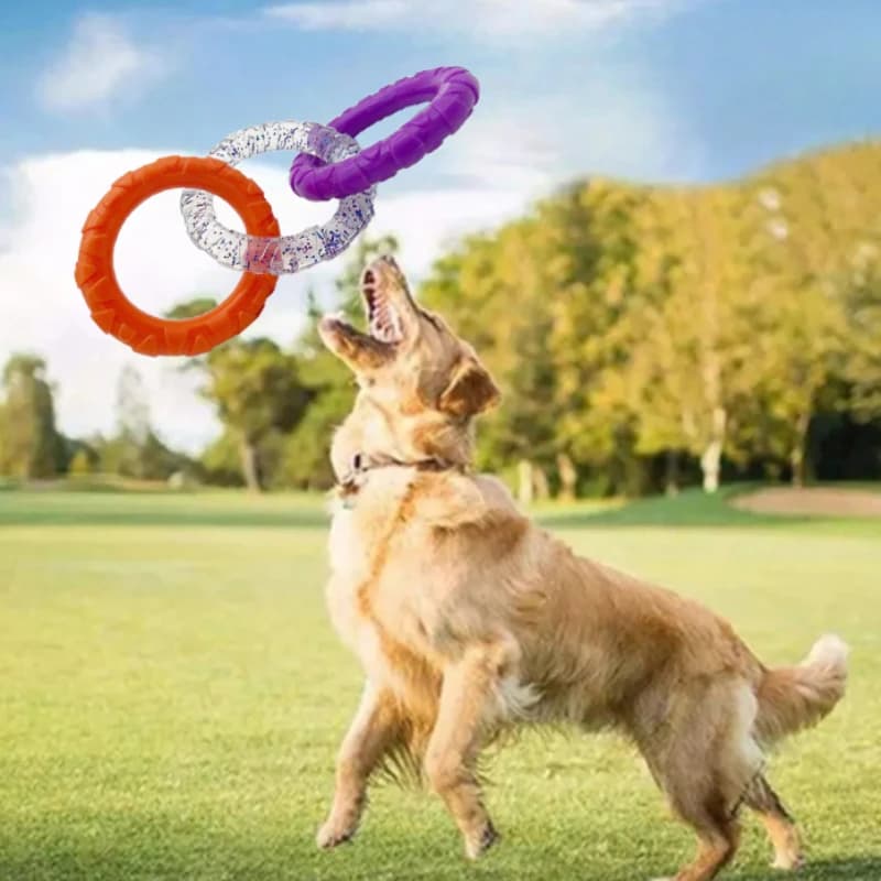 Disco volador flotante para perros, resistente a mordeduras