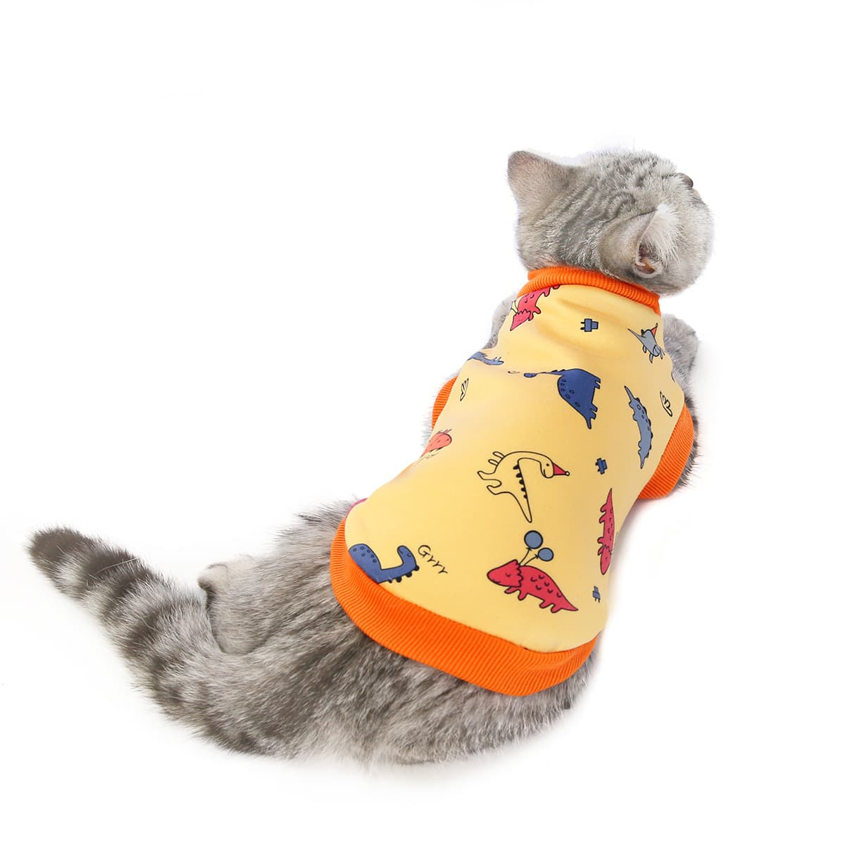 Ropa para gatos de otoño e invierno