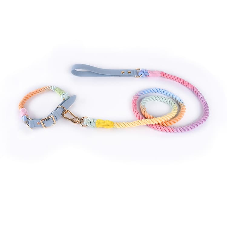 Set de collar y cuerda para perro de cuero y algodón