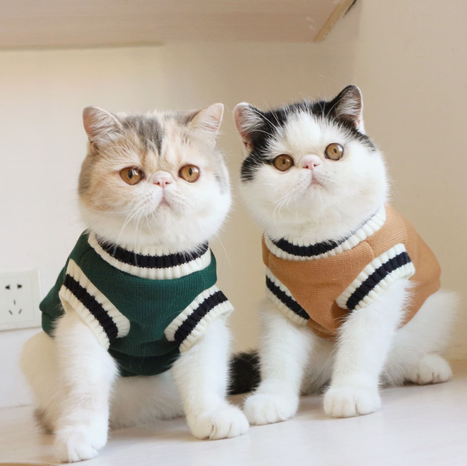 Chaleco fleece sin mangas para gatos estilo colegio