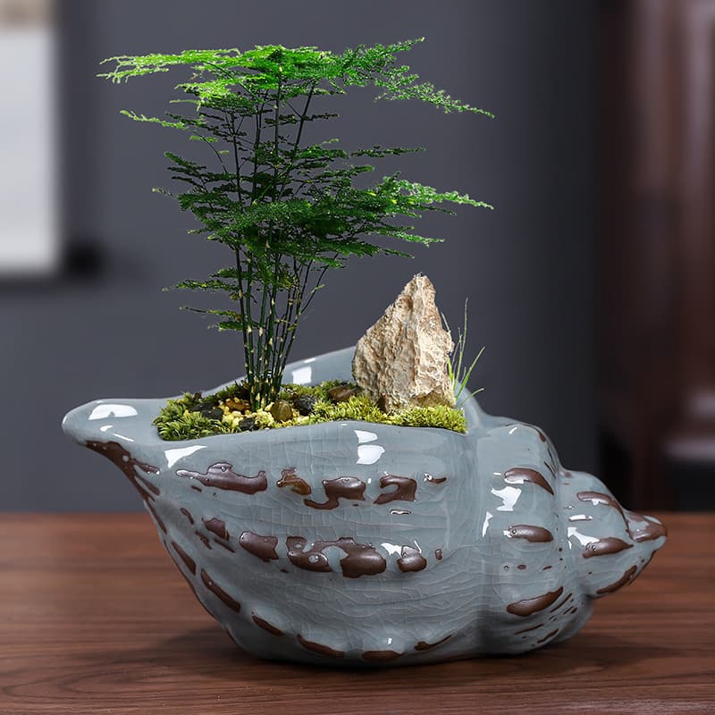 Maceta cerámica para orquídeas y bonsái